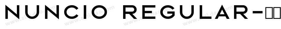 Nuncio Regular字体转换